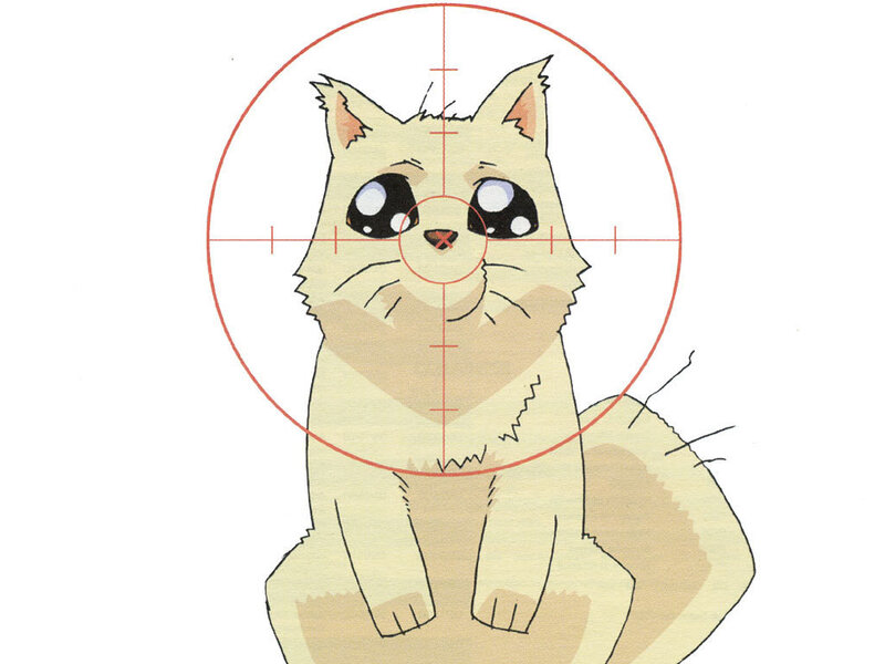 cat in crosshairs