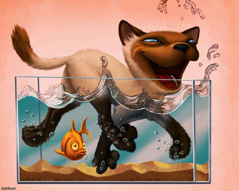 cat in fish tank