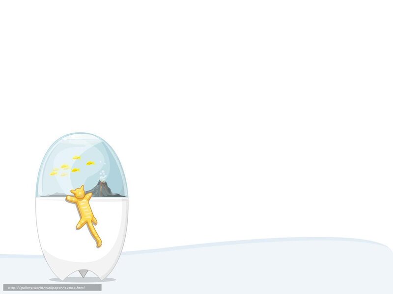 Cat in Fishbowl — White