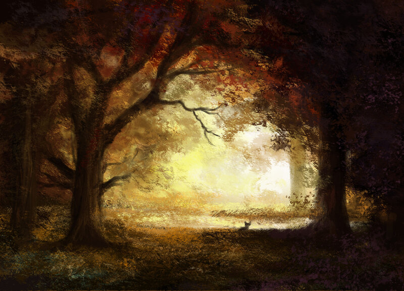 Cat in Forest Clearing