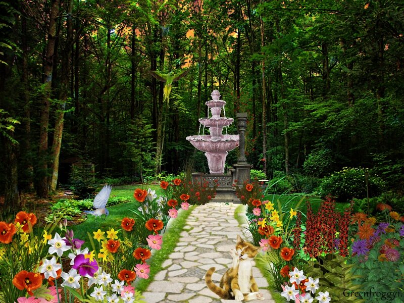 Cat in Garden — Green, Serene, Afternoon
