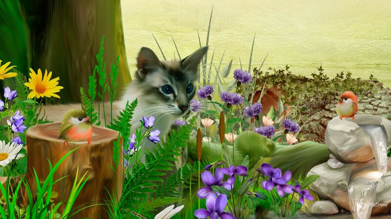 Cat in Garden — Green, Serene, Spring