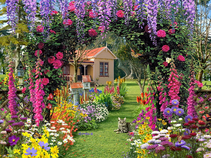 Cat in Garden — Purple, Serene