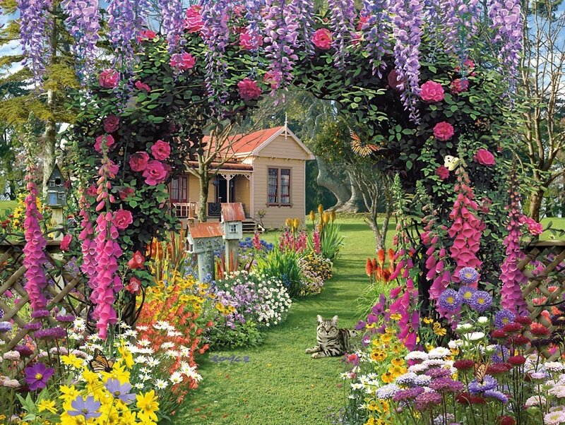 Cat in Garden — Purple