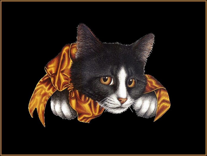 cat in golden cloak