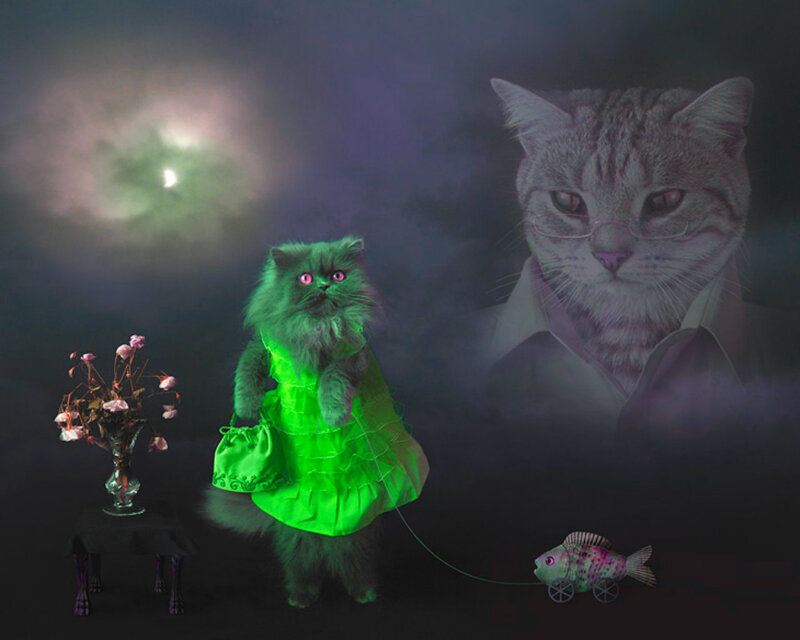 Cat in Green Dress