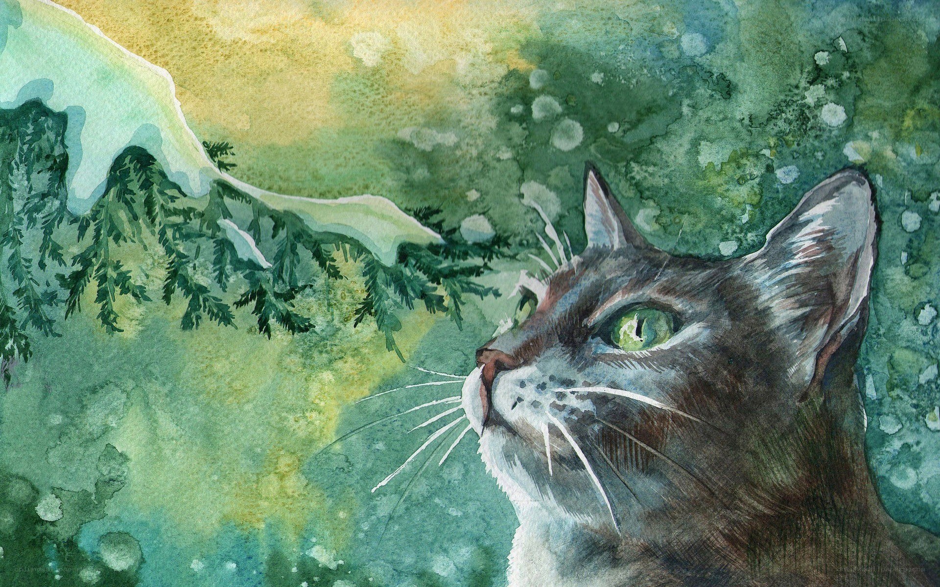 cat in green forest