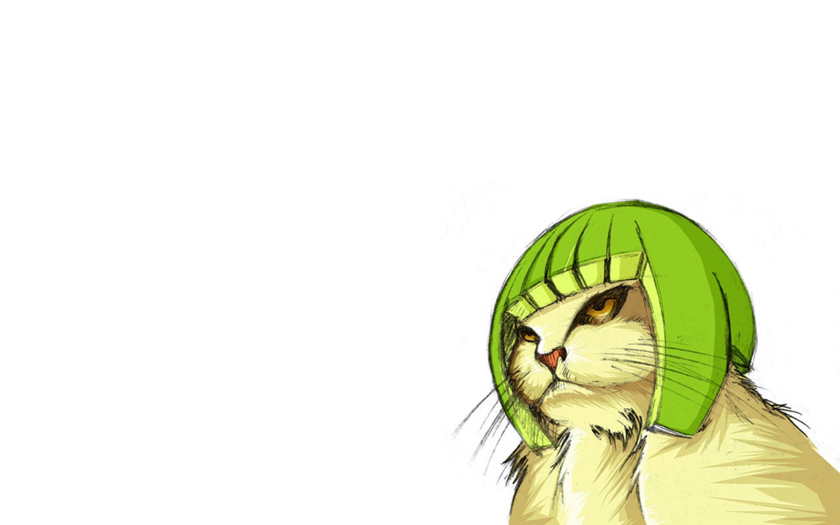 cat in green hat