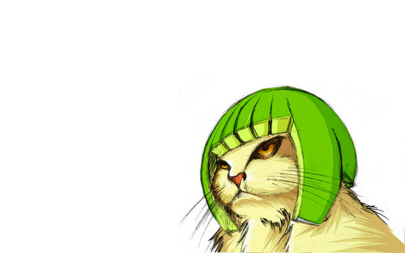 cat in green helmet