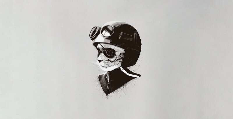 Cat in Helmet — Black