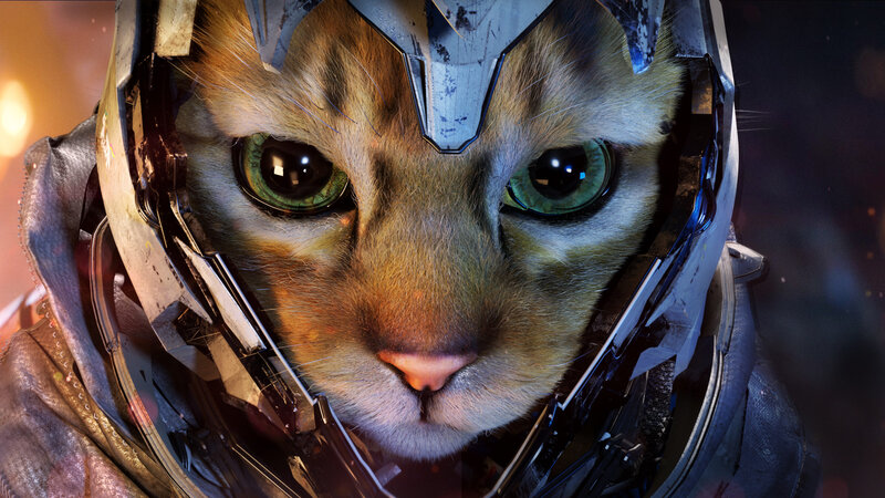 Cat in Helmet — Brown