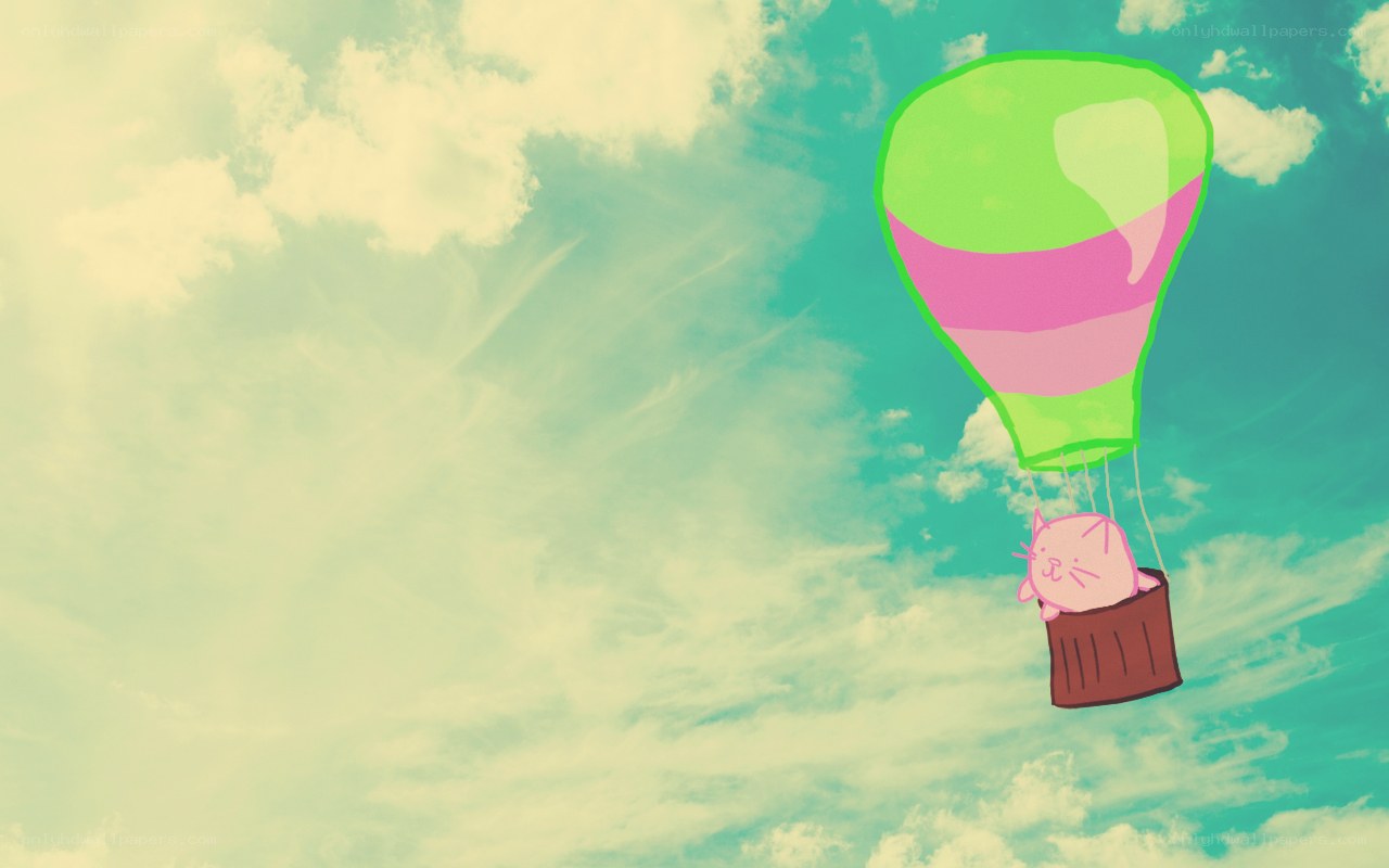 cat in hot air balloon