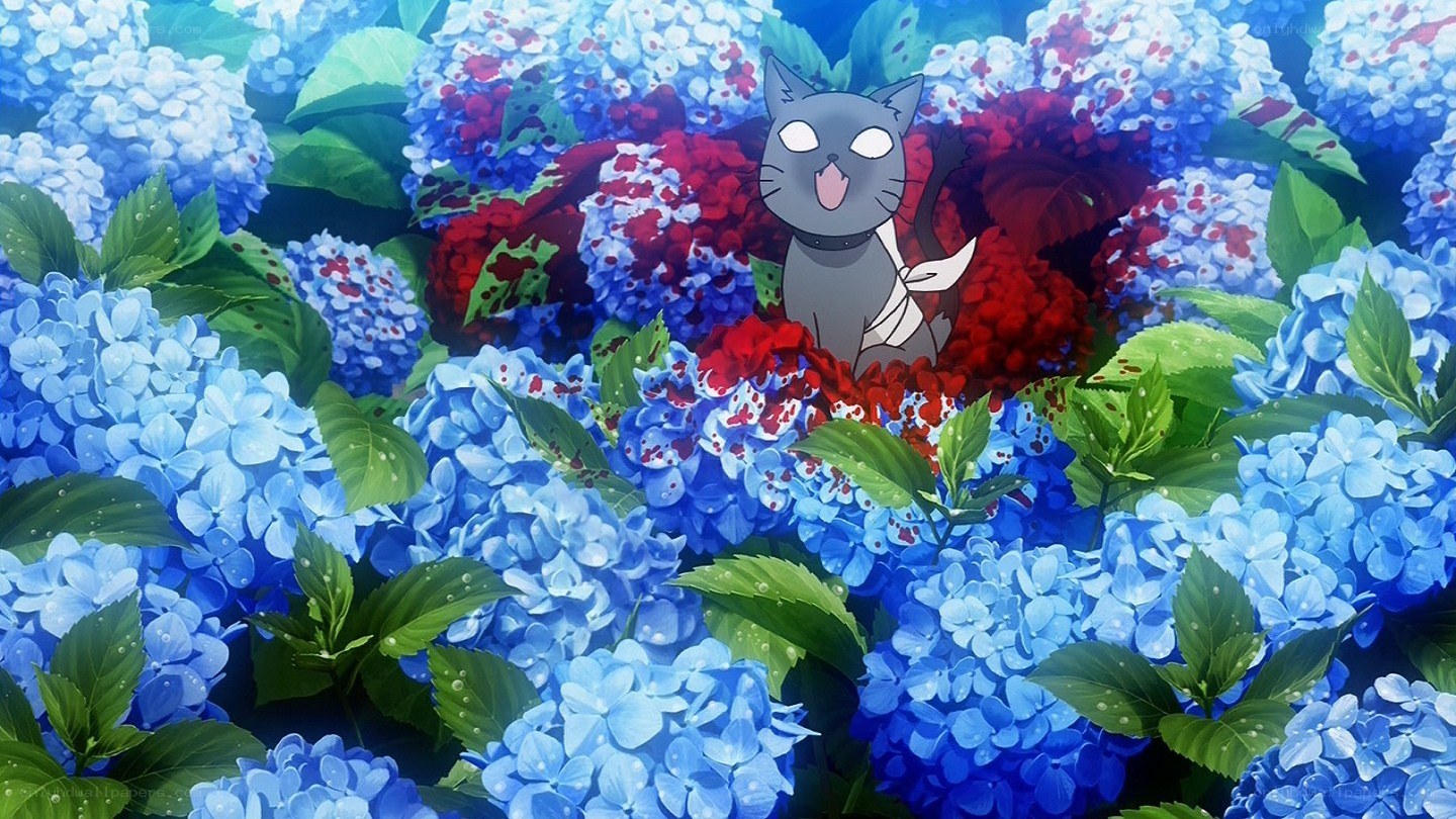 Cat in hydrangea flowers