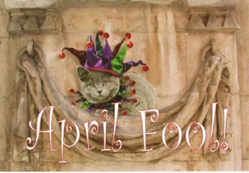 Cat in Jester Hat