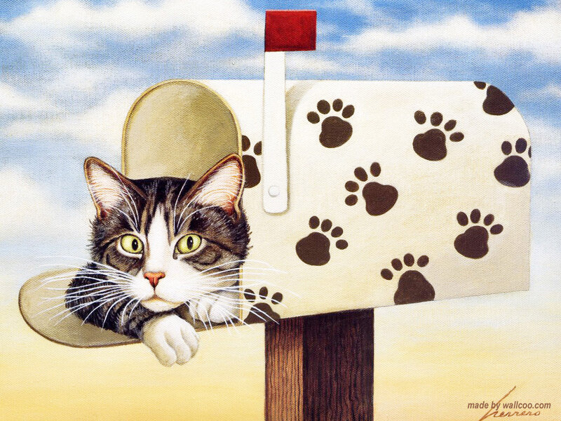 Cat in Mailbox