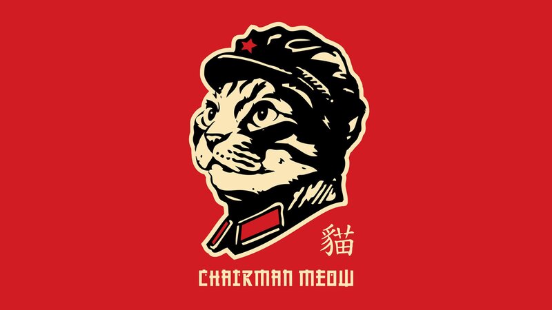 Cat in Military Hat