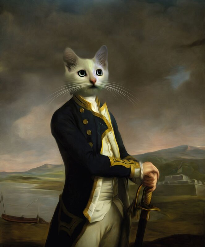 Cat in Military Uniform — Black, Dramatic