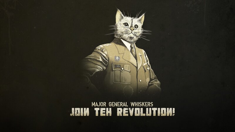 Cat in Military Uniform — Black