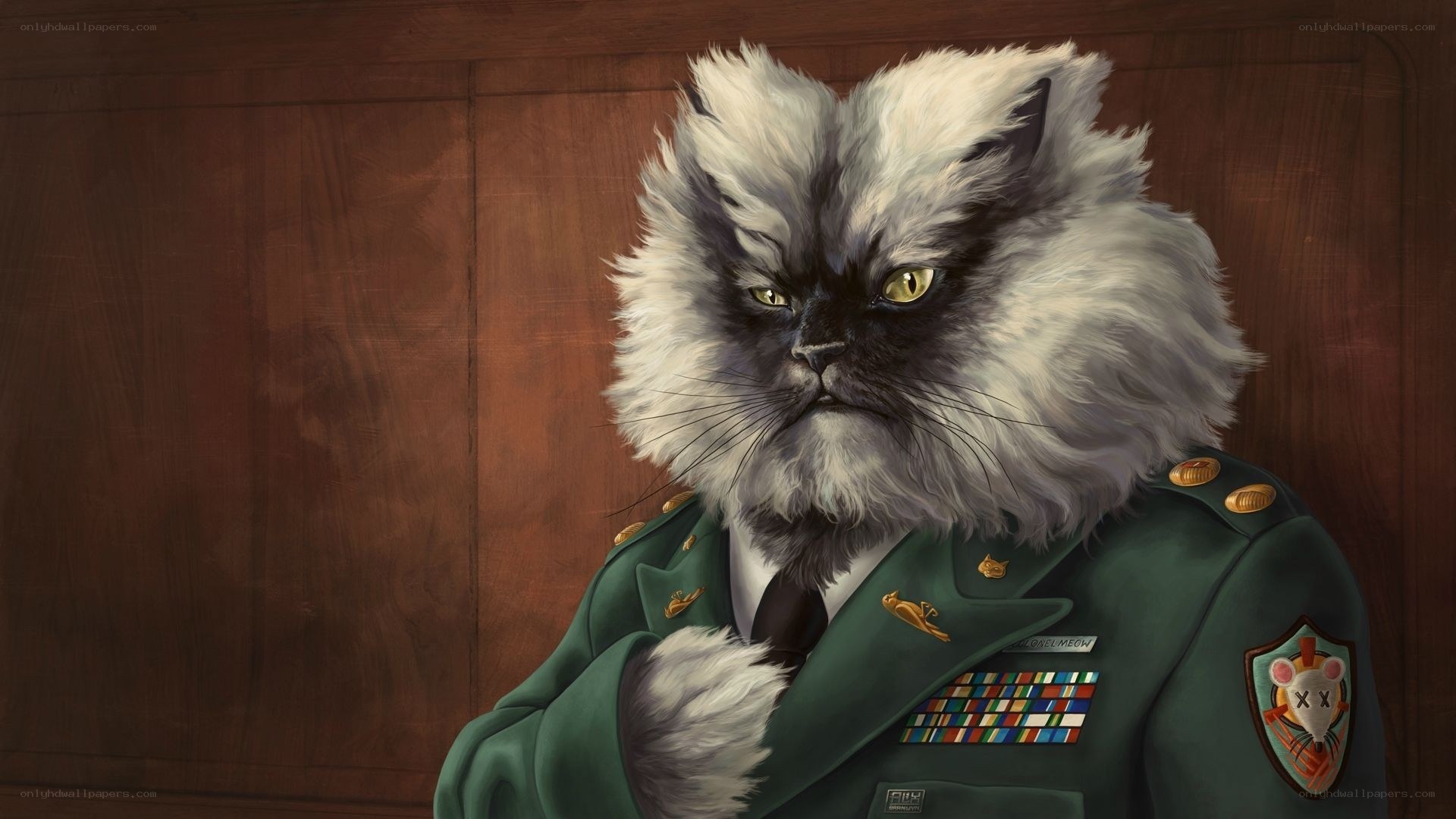 cat in military uniform