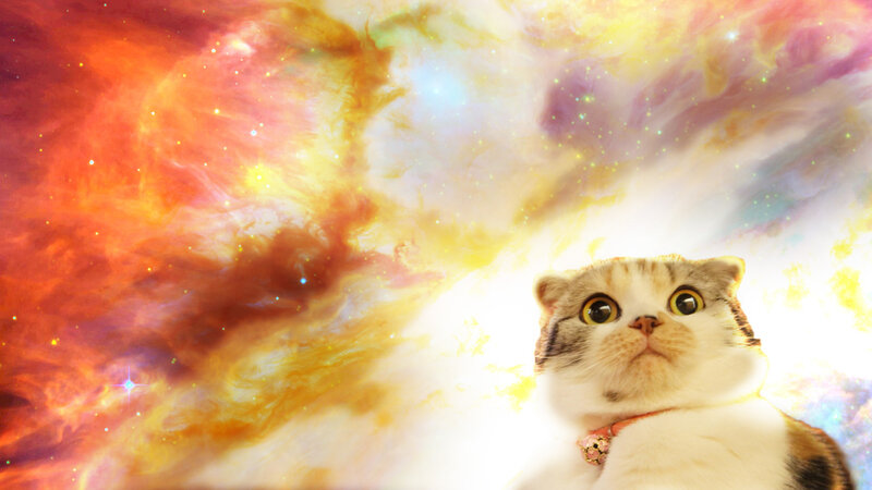 Cat in Nebula