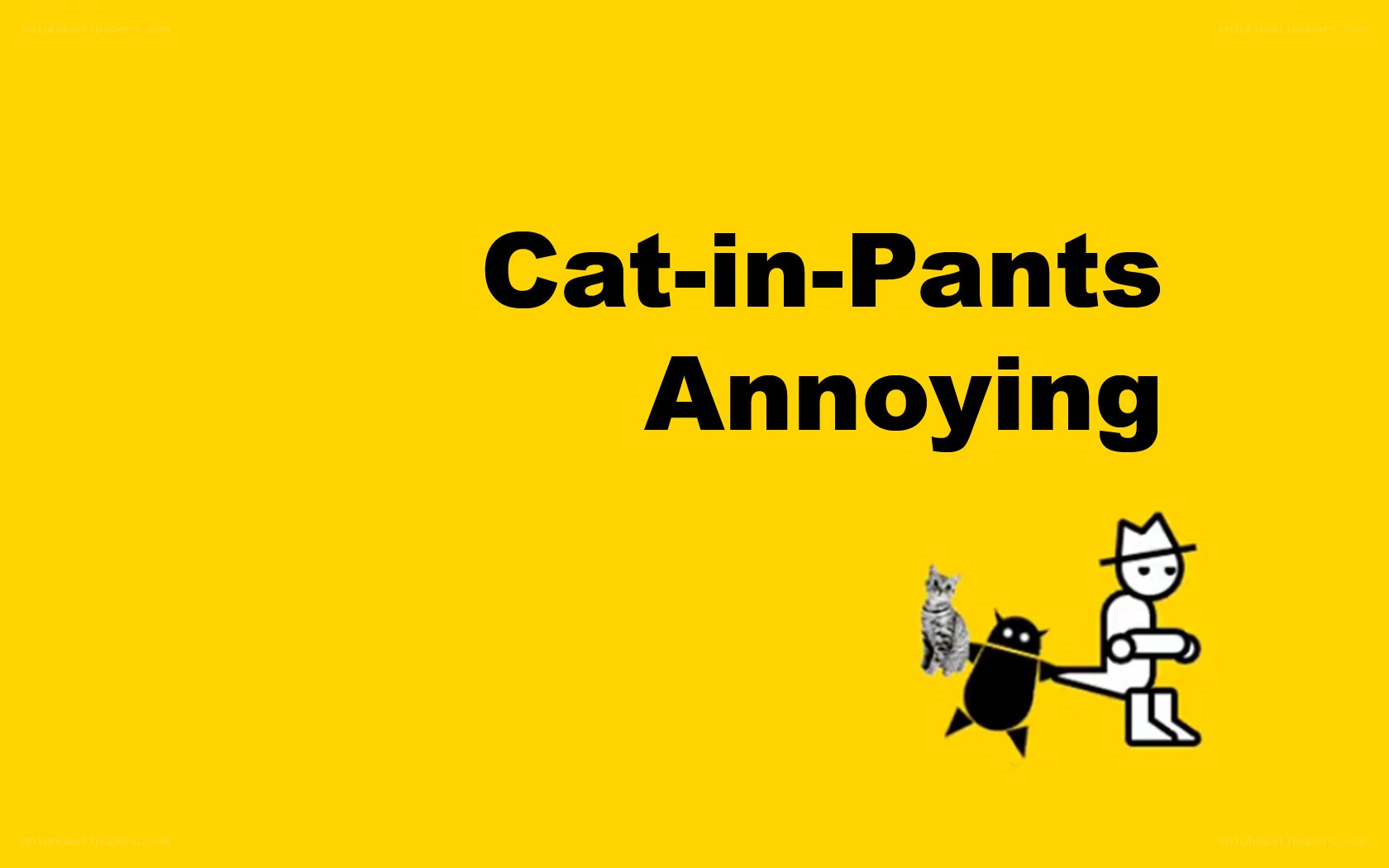 Cat-in-Pants Annoying