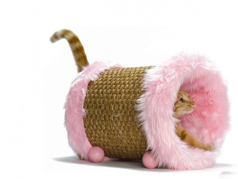 Cat in Pink Tunnel — Playful
