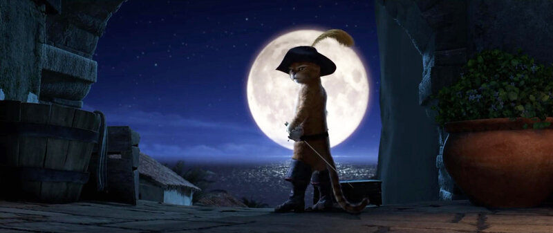 Cat in Pirate Costume — Blue