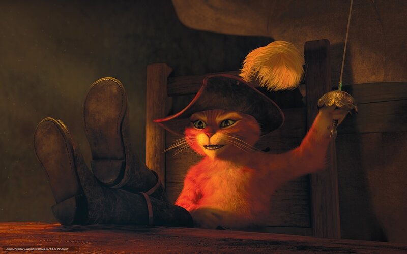 Cat in Pirate Hat — Orange, Dramatic