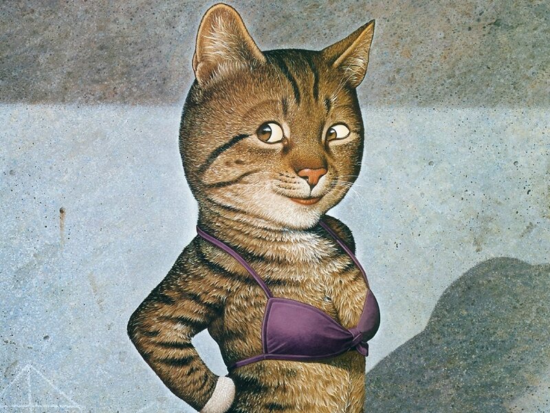 cat in purple bikini