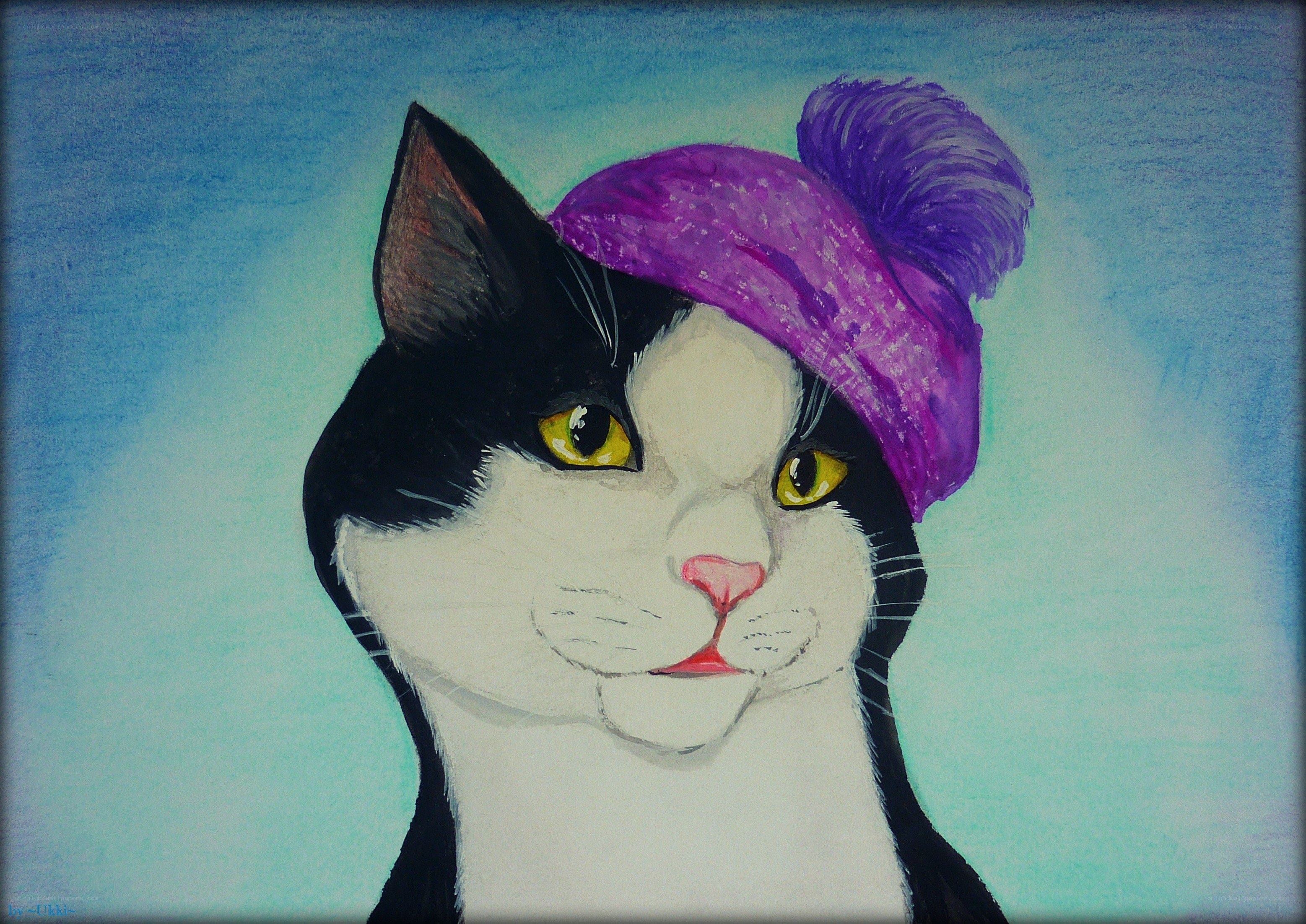 cat in purple hat