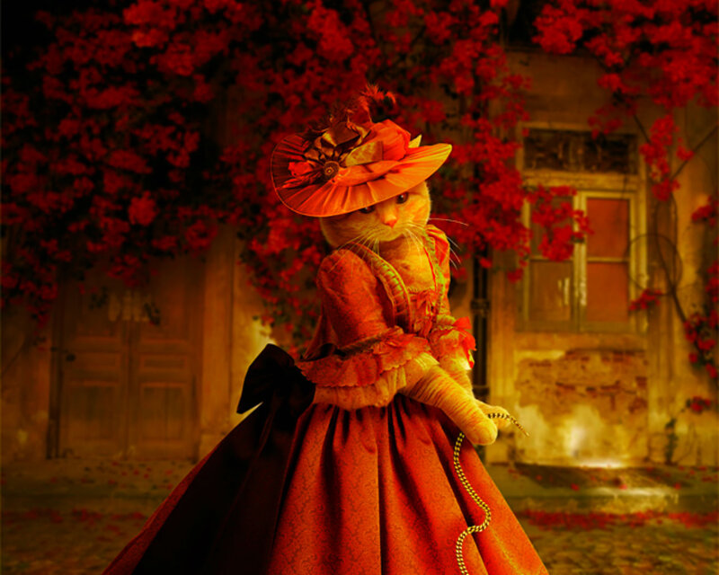 Cat in Red Dress