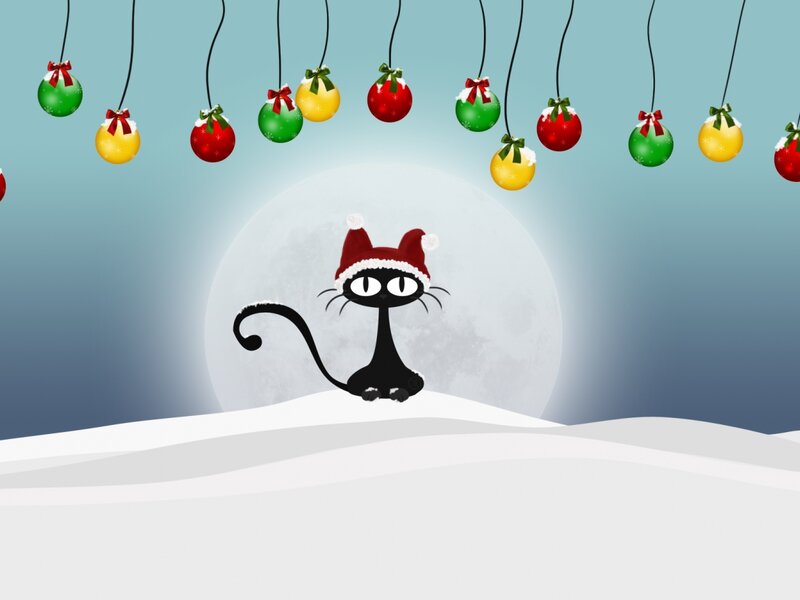 cat in santa hat on snowy hill