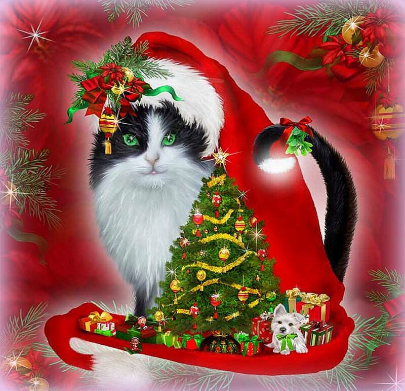 Cat in Santa Hat — Red, Festive, Winter, Digital Art