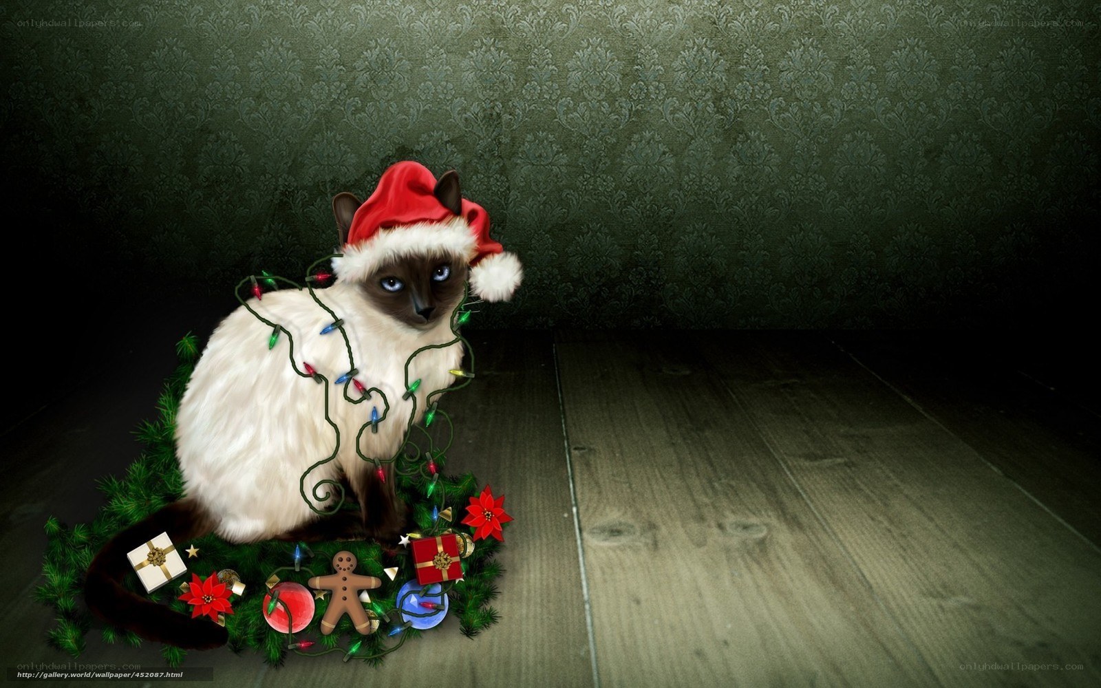 cat in santa hat with lights