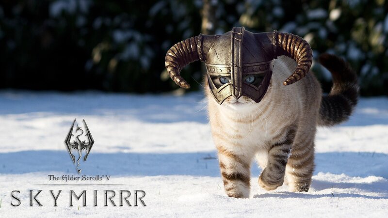 cat in skyrim helmet