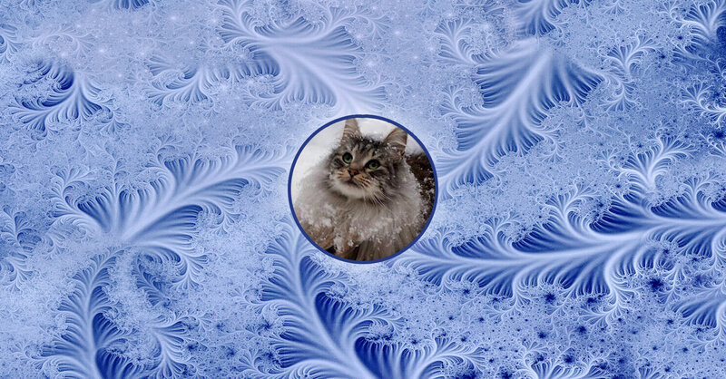 Cat in Snow — Blue, Cold