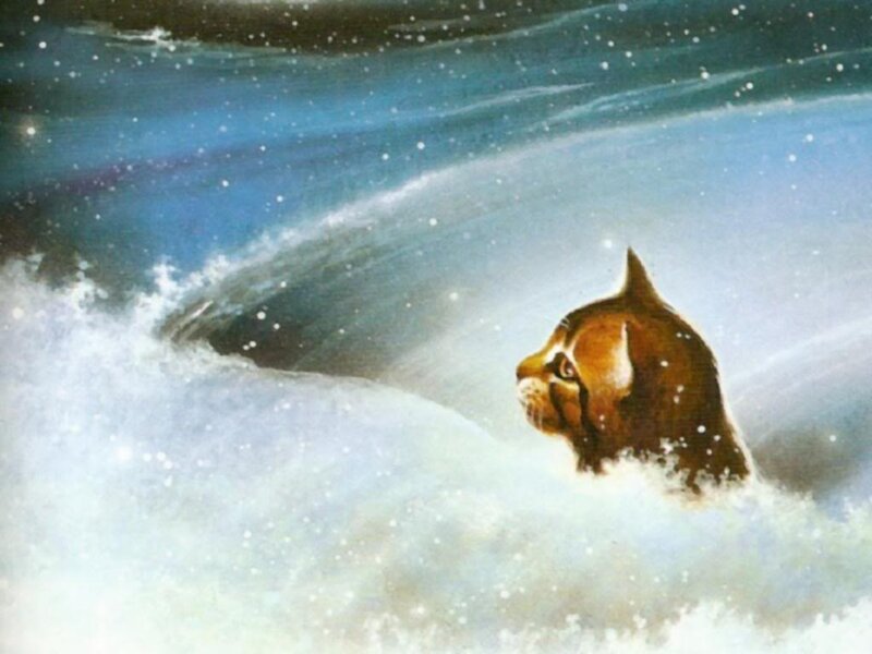 Cat in Snowstorm