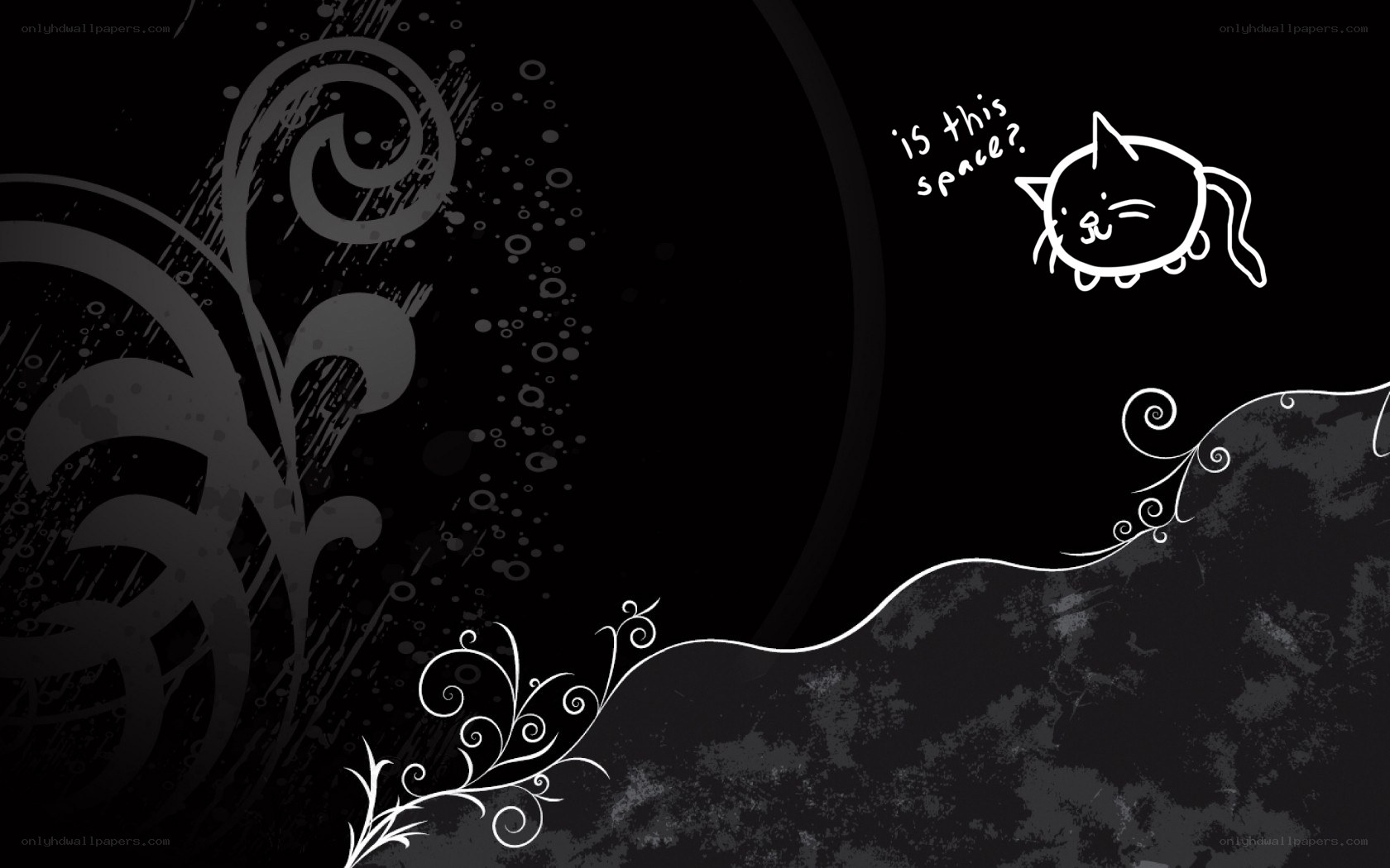 cat in space doodle