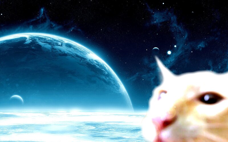 cat in space with planet