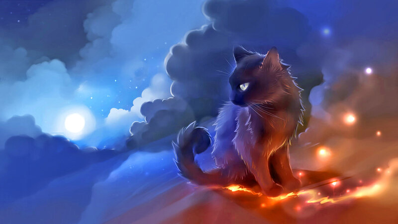 Cat in Stormy Sky