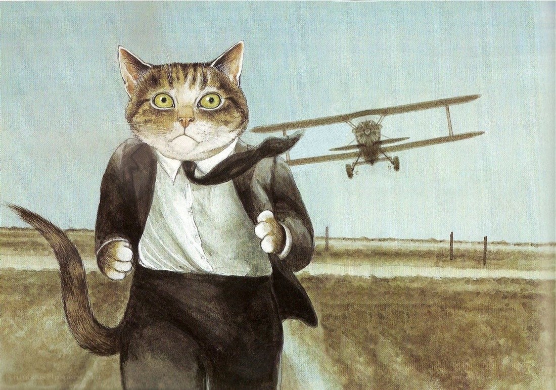 cat in suit running from plane