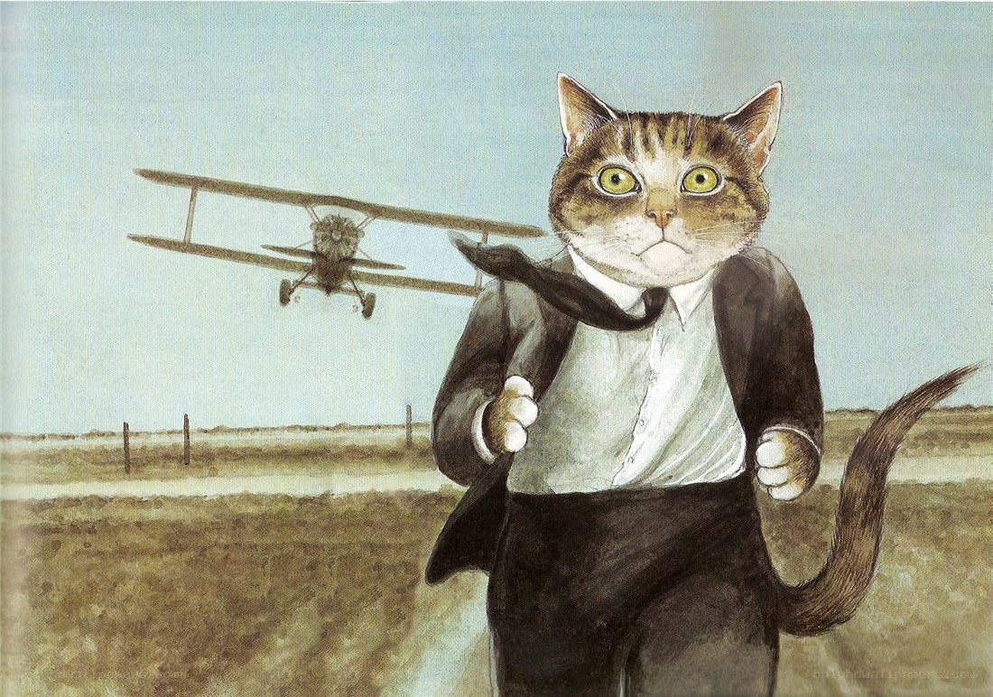 cat in suit running from plane