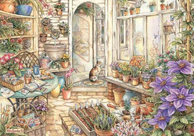 Cat in Sunroom