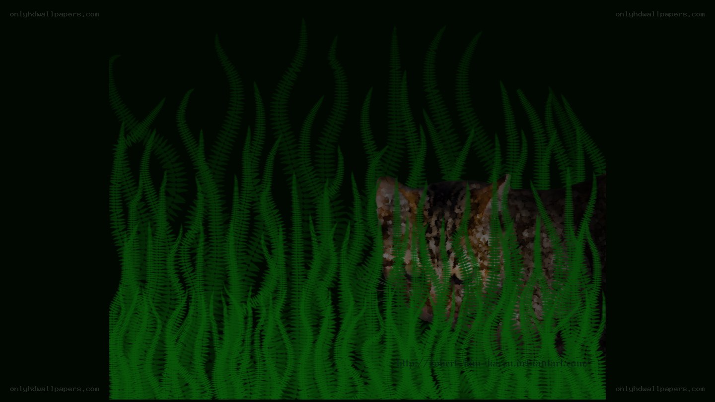 cat in tall grass
