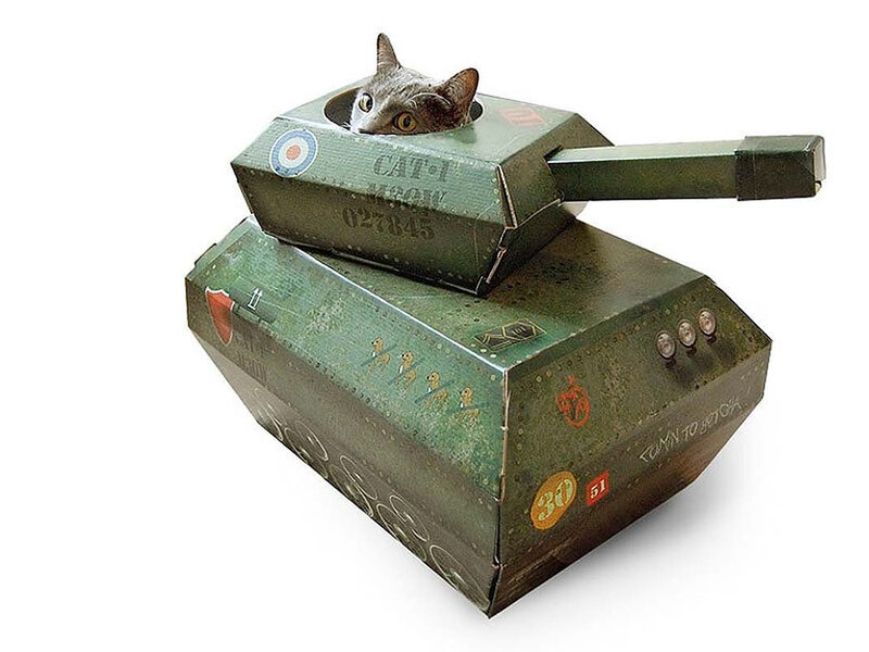Cat in Tank Costume