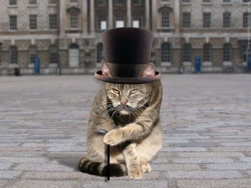 cat in top hat and mustache