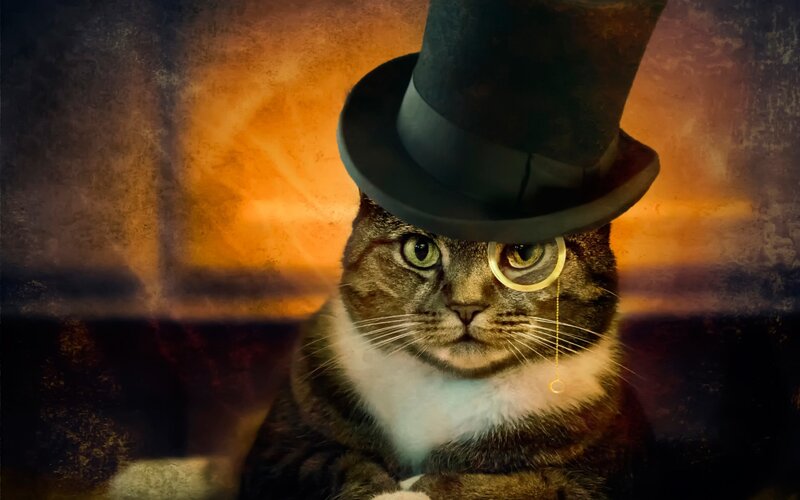 Cat in Top Hat — Brown