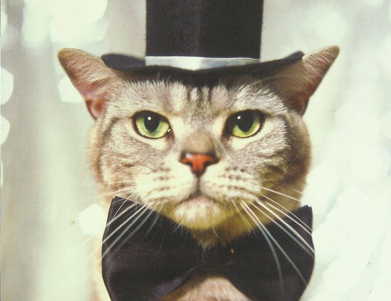 Cat in Top Hat — Gray, Formal