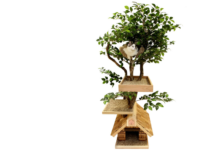 Cat in Tree House — Green, Calm