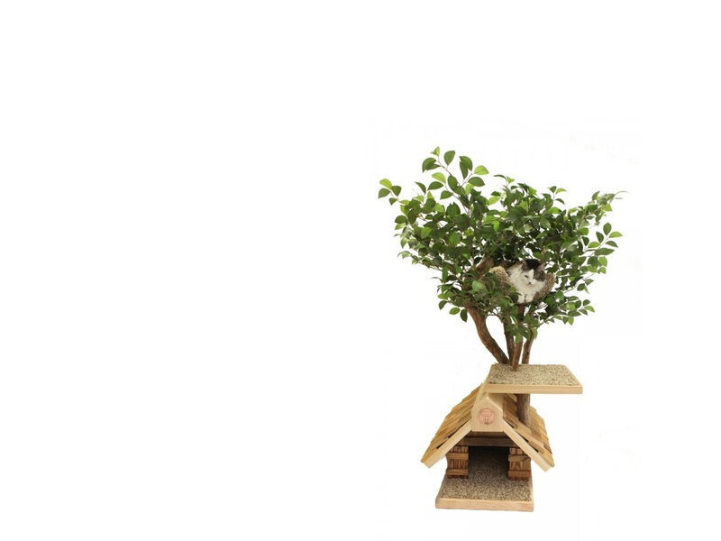 Cat in Tree House — Green